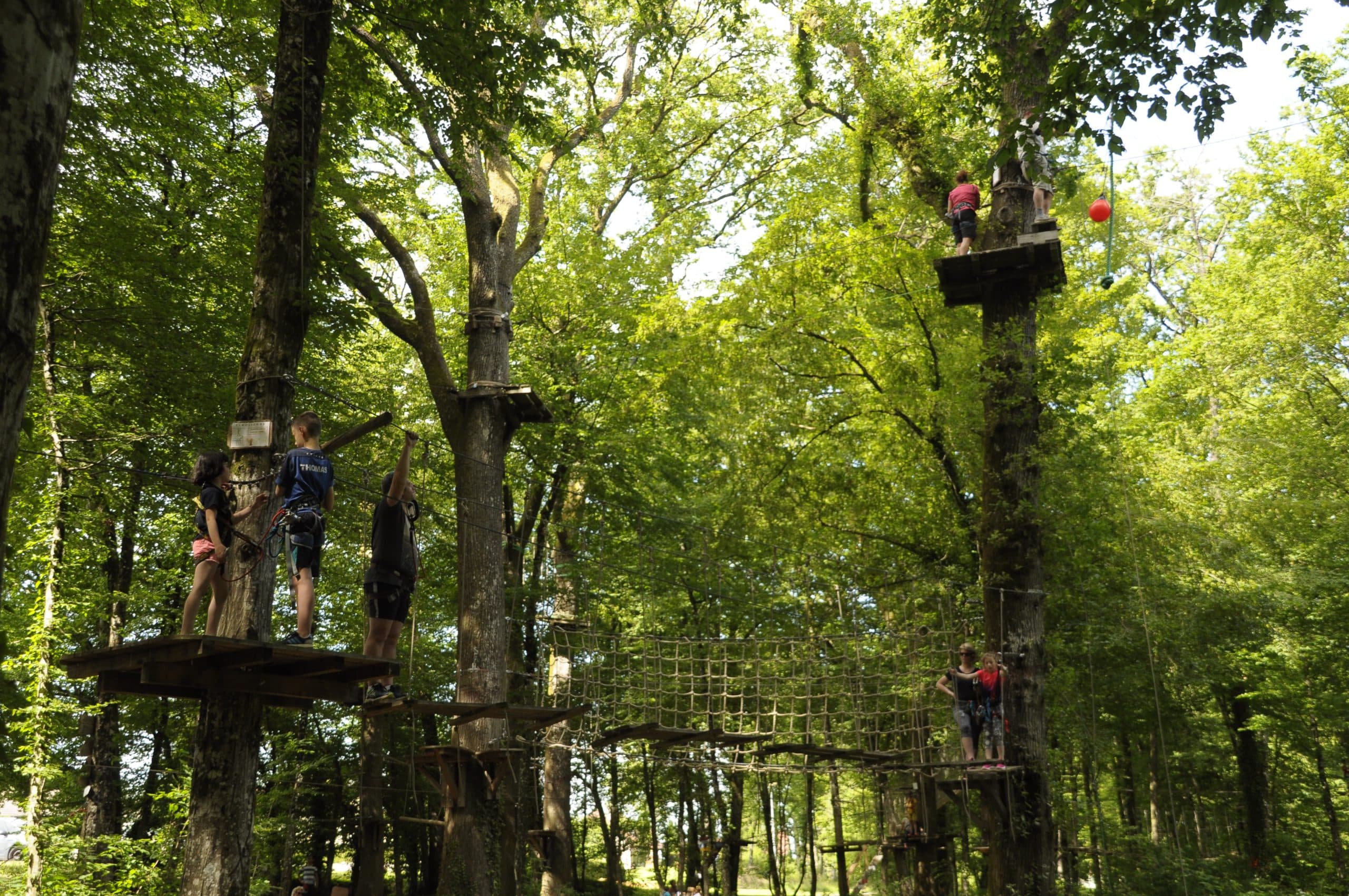 Tyrolienne dans la forêt